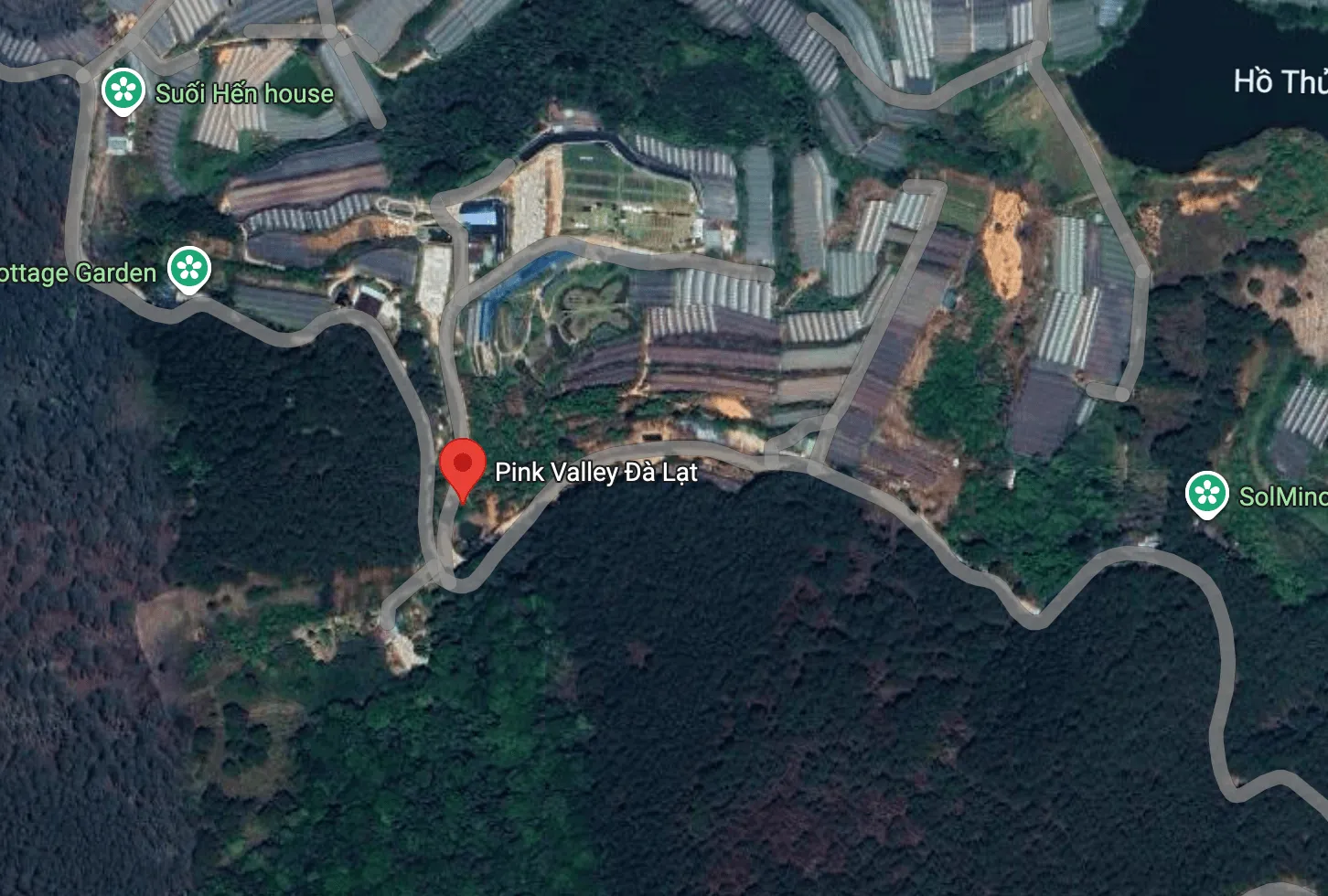 Hong Dalat Valley – Pink Valley Da Lat: Ny persimonodling och utomhusaktiviteter i Da Lat